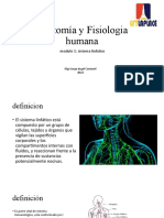 Anatomia