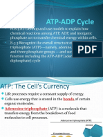 ATP PPT