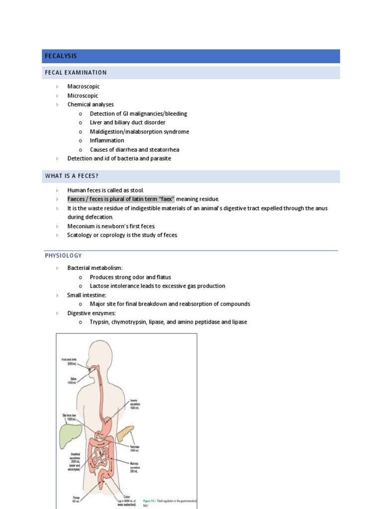 Understanding Fecalysis and Its Results | PDF | Diarrhea | Human Feces