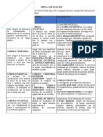 Funciones del SNC en la escritura, lectura y matemática