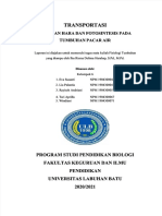 PDF Laporan Praktikum Transportasi Tumbuhan Pacar Air Compress