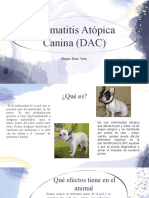 Dermatitis Atópica Canina (DAC) : Sergio Ruiz Vera