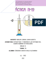 Semana 11 Lab