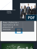 Definición e Importancia de Proyectos de Inversión