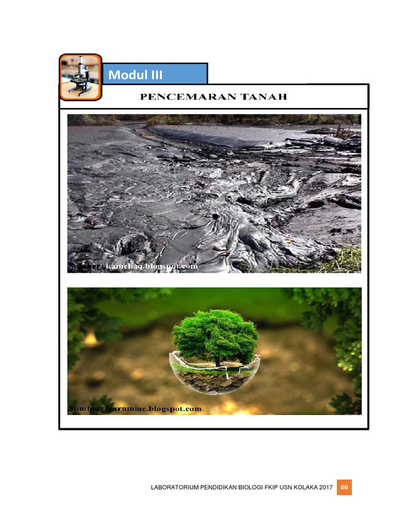 Pengaruh Pencemaran Tanah pada Tanaman | PDF | Kesehatan Holistik ...