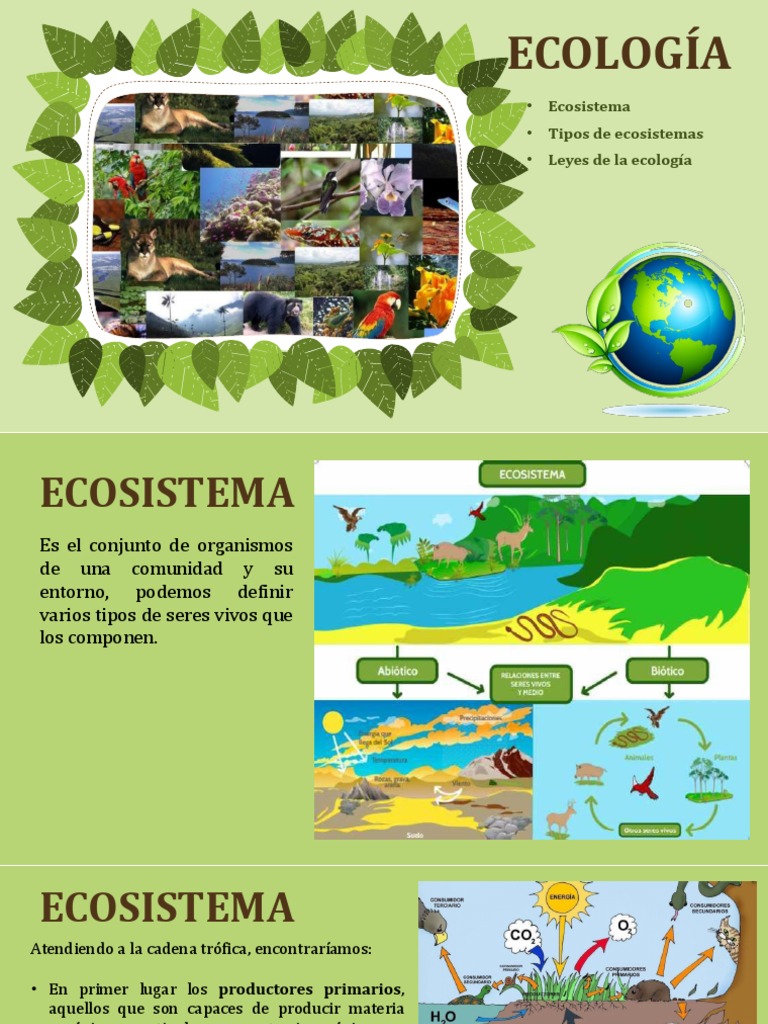 Tipos y Leyes de Ecosistemas en Ecología | PDF | Ecología | Ecosistema