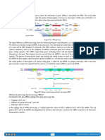 5.05 RNA Processing