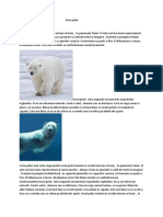 Ursu Polar