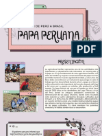 Exportación de Perú A Brasil: Papa Peruana