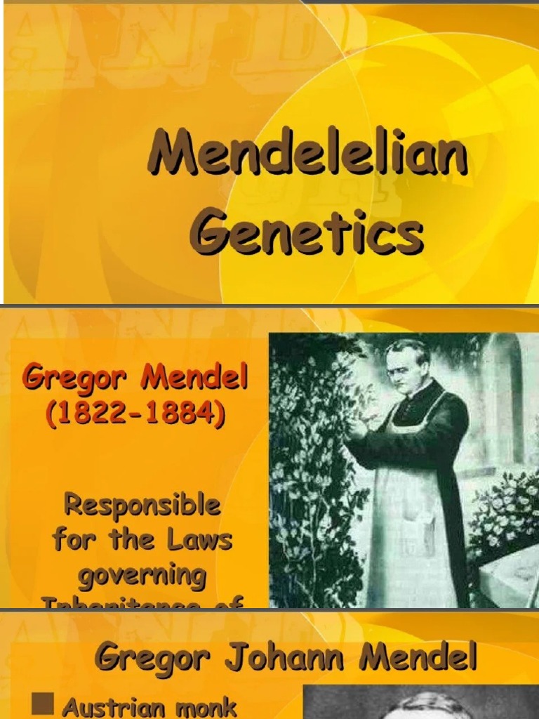 Mendelian genetics pdf