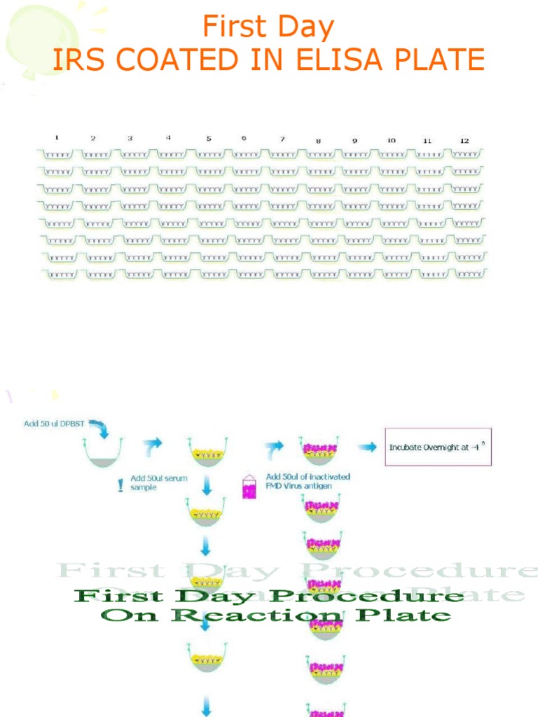 ELISA Plate Coating Process Overview | PDF | Science & Mathematics