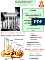 Topic 4 Vestibular System