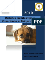 Diabetes Mellitus Tipo 2: Conociendo Su Fisiopatologia