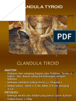 Gangguan Tyroid Dan Adrenal - HTR