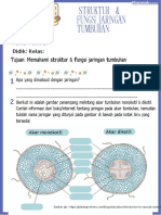 Struktur & Fungsi Jaringan Tumbuhan