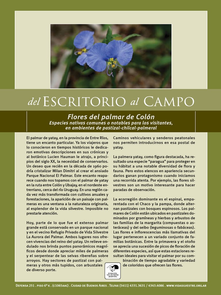 Flora del Palmar de Colón | PDF | Hogar, jardinería y bricolaje