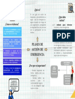 PLAN DE ACCIÓN DE EMERGENCIA