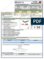 Características y clasificación de plantas y animales