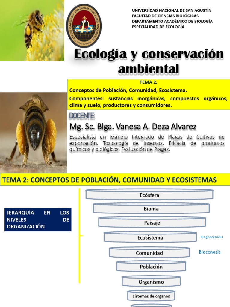 Conceptos Clave de Ecología y Ecosistemas | PDF | Ecosistema | Organismos