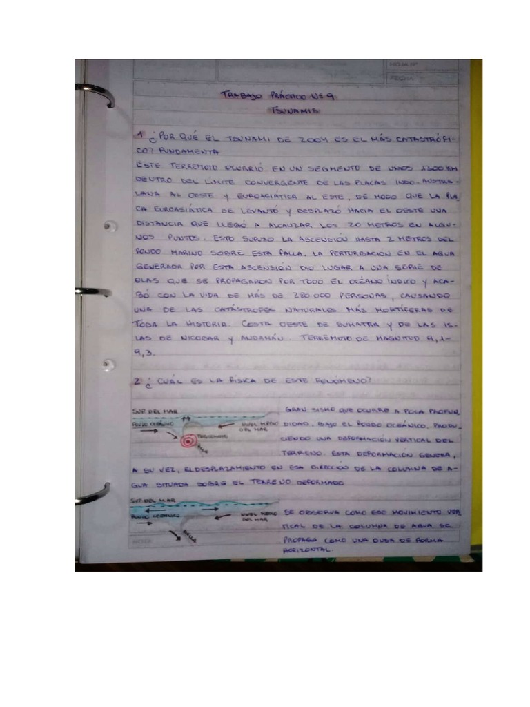What is tsunami pdf