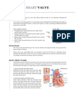 Heart Valve Function & Diseases