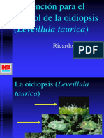 Oidiopsis Epidemiologia