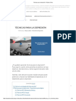 Técnicas para La Depresión. Práctica Clínica