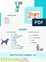Caso clínico de parvovirus canino: reporte y evolución