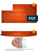 Placenta Cordon Umbilical