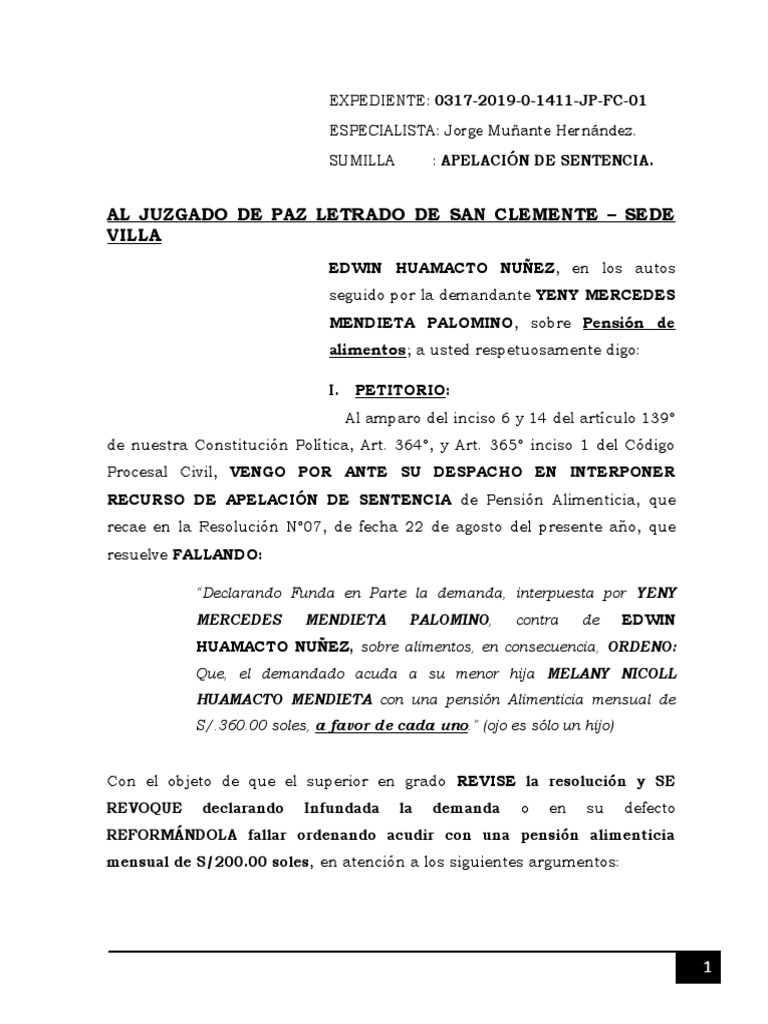 Apelacion de Sentencia de Alimentos Original PDF Pensión