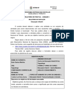 Relatório de Prática Execução - Unidade I Educação Infantil (2)