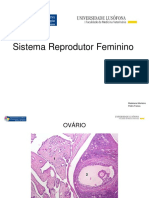 Atlas de Citologia e Histologia II - Reprodutor Feminino