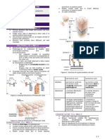 Course Outline: Midterms Cell Walls and Gram Staining