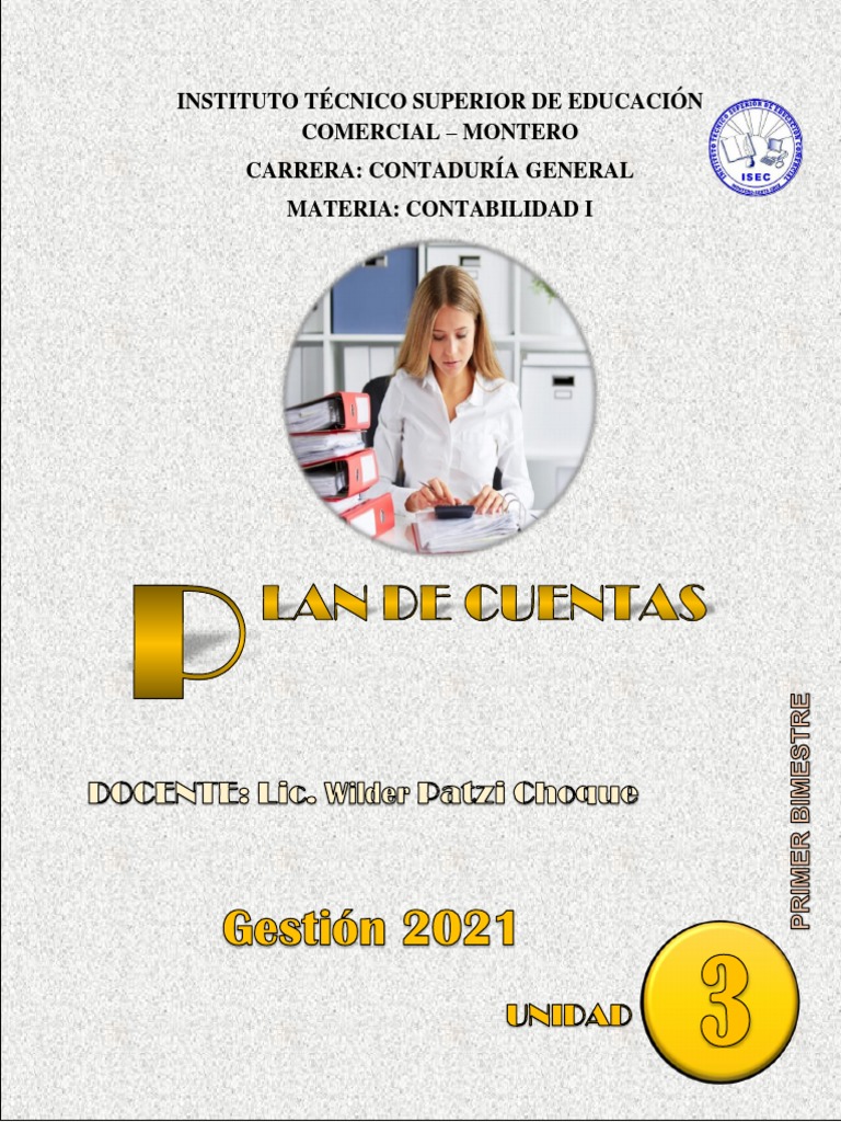 Estructura del Plan de Cuentas Contable | PDF | Contabilidad | Economias