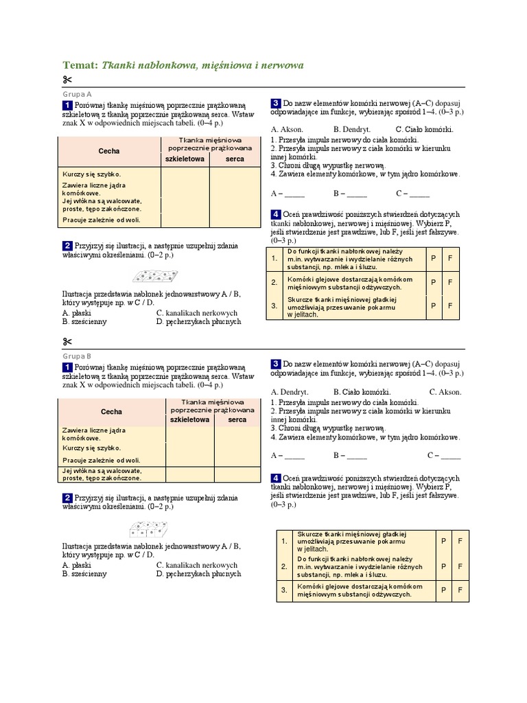 Tkanki Nabłonkowa Mięśniowa I Nerwowa Tkanki Nablonkowa Nerwowa I Miesniowa Kartkowka kl.7 | PDF