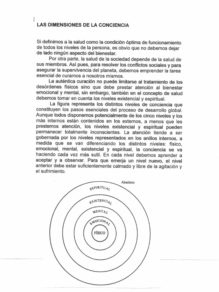 Dimensiones de La Conciencia | PDF