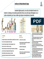 Charla de Seguridad - Levantamiento Manual de Cargas