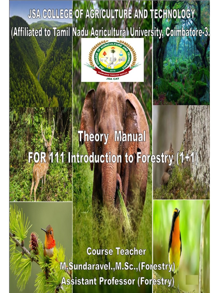 Savukku Tree Plantation Guide | PDF | Forestry | Seed