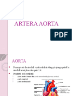 5. artera aorta
