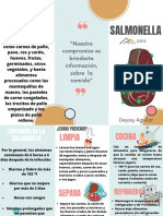 FOLLETO DE SALMONELLA