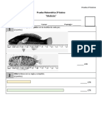 Prueba de medición 2o básico