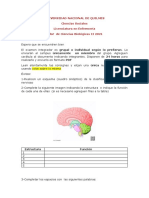 Integrador Ciencias Biológicas LL