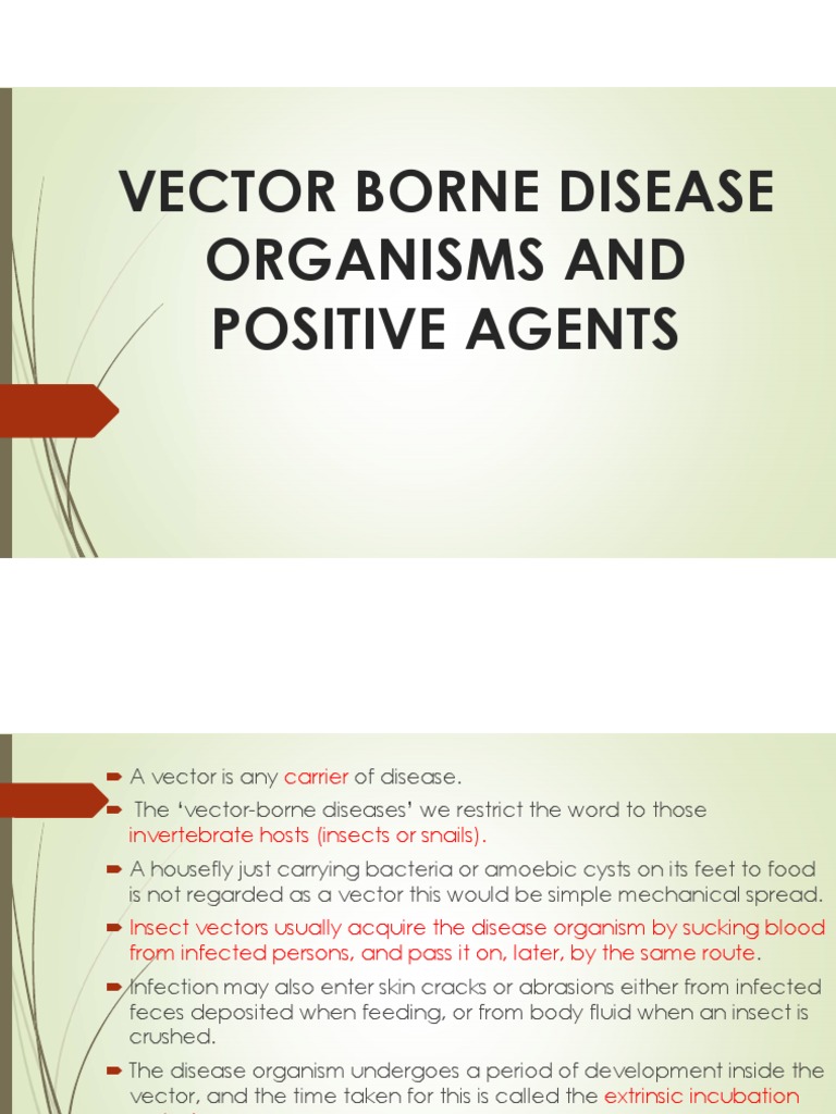 Vector Born Disease Organism and Infective Agents | PDF | Infection ...