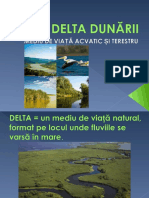 0 Delta Dunarii
