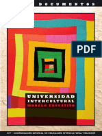 Universidad Intercultural Modelo Educativo