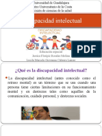 Discapacidad-INTELECTUAL Libro