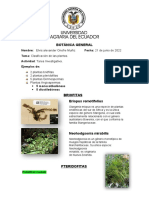 Clasificación de plantas: briófitas, pteridofitas, gimnospermas y angiospermas