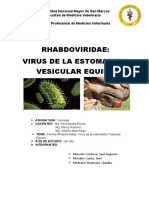 Trabajo Virologia Final 3