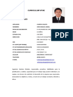 CV Ing. Químico Experiencia Financiera