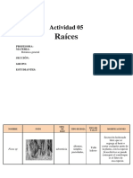 Tarea 09 Raices Un